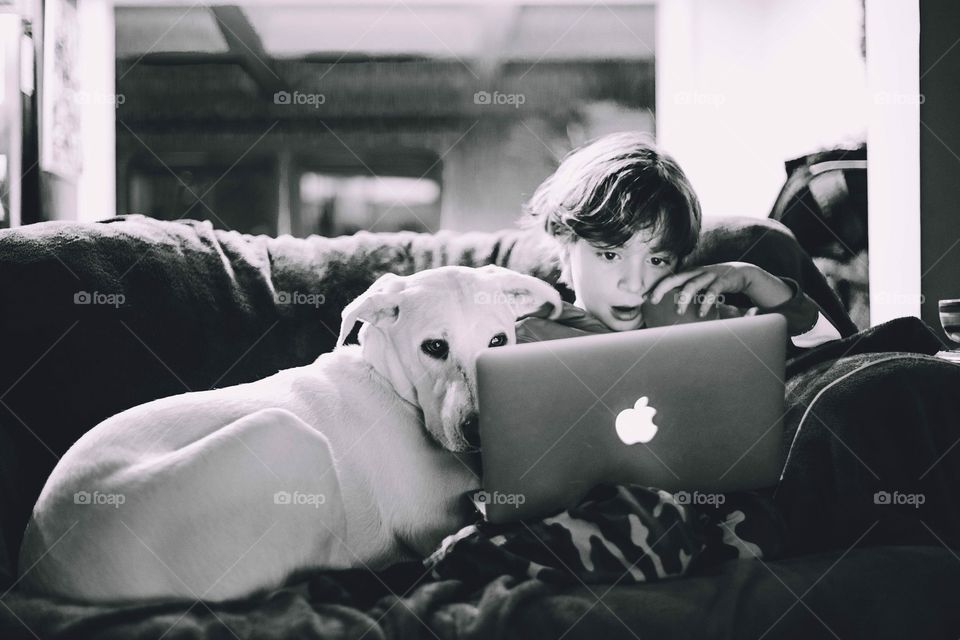 Little boy and his dog watching cartoons on s MacBook 