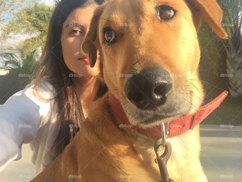 Close-up of a dog with woman