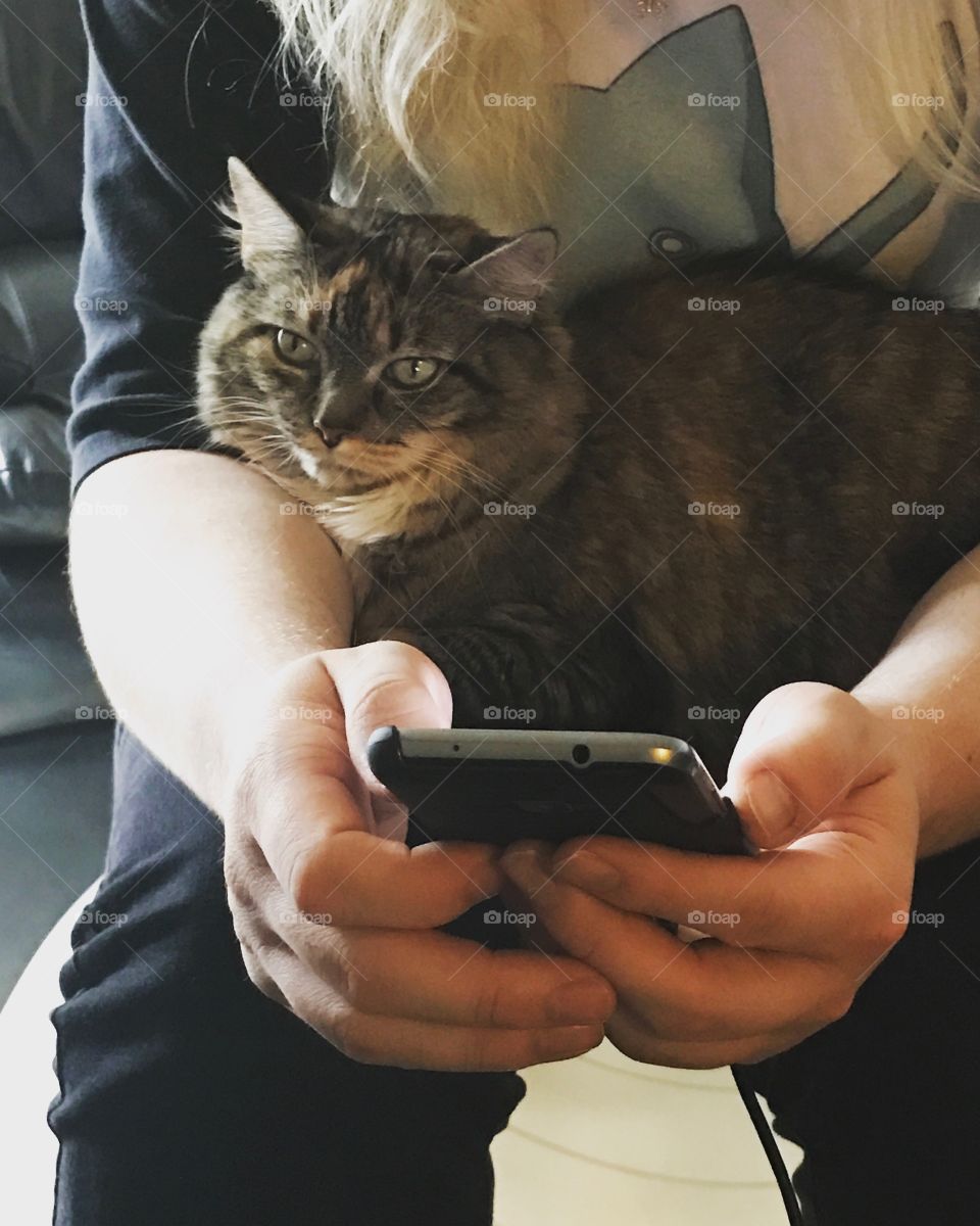 Cat helping text. 