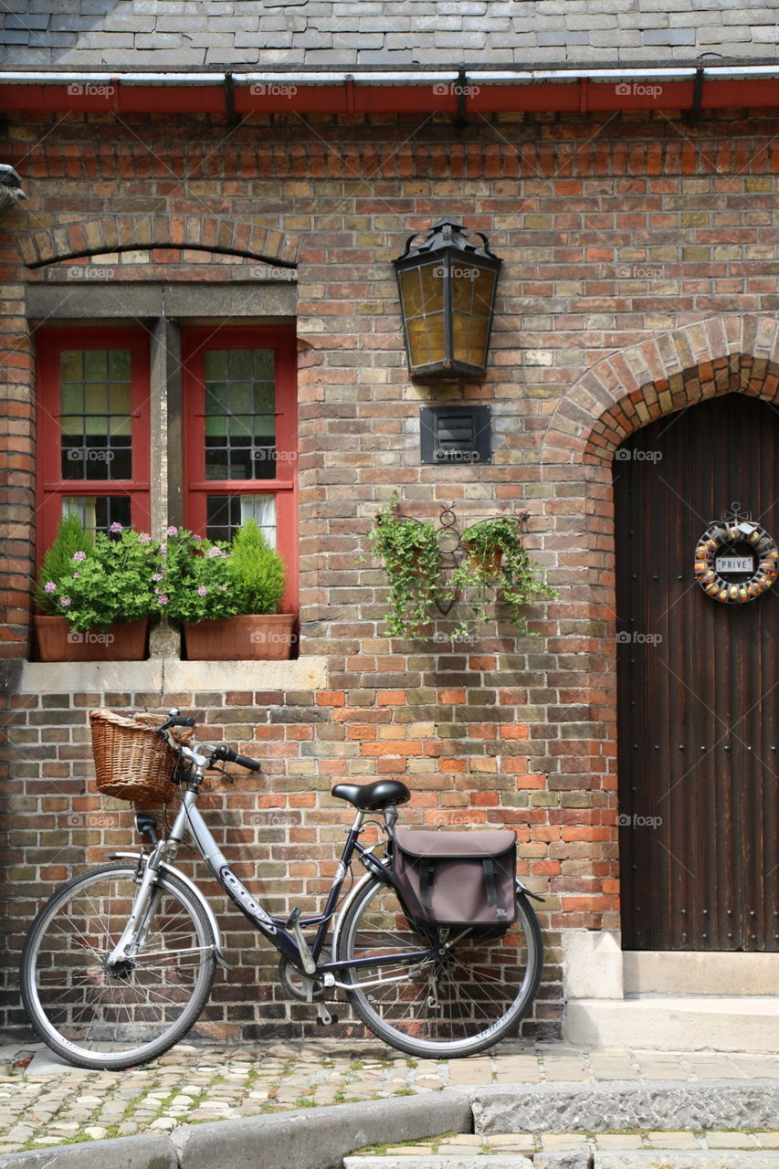Bicycle and house 