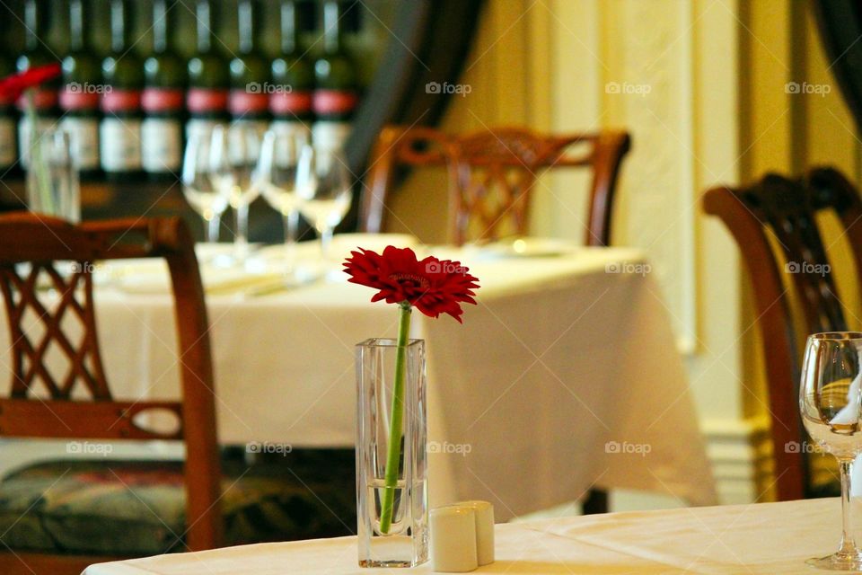 Lunch at a restaurant 