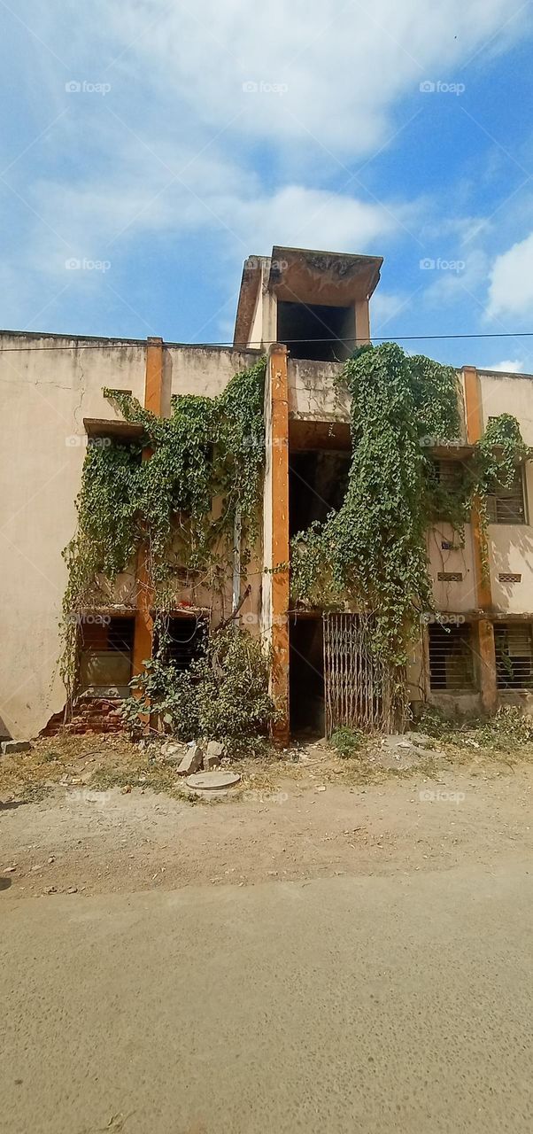 old house 🙀 with plants scary