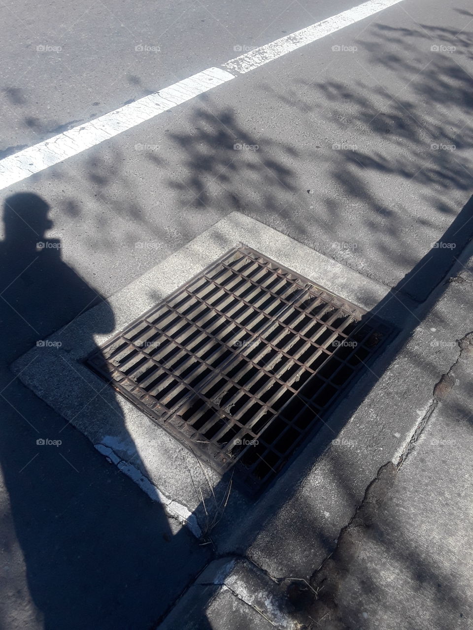 SHADOWS OF THE STREETS