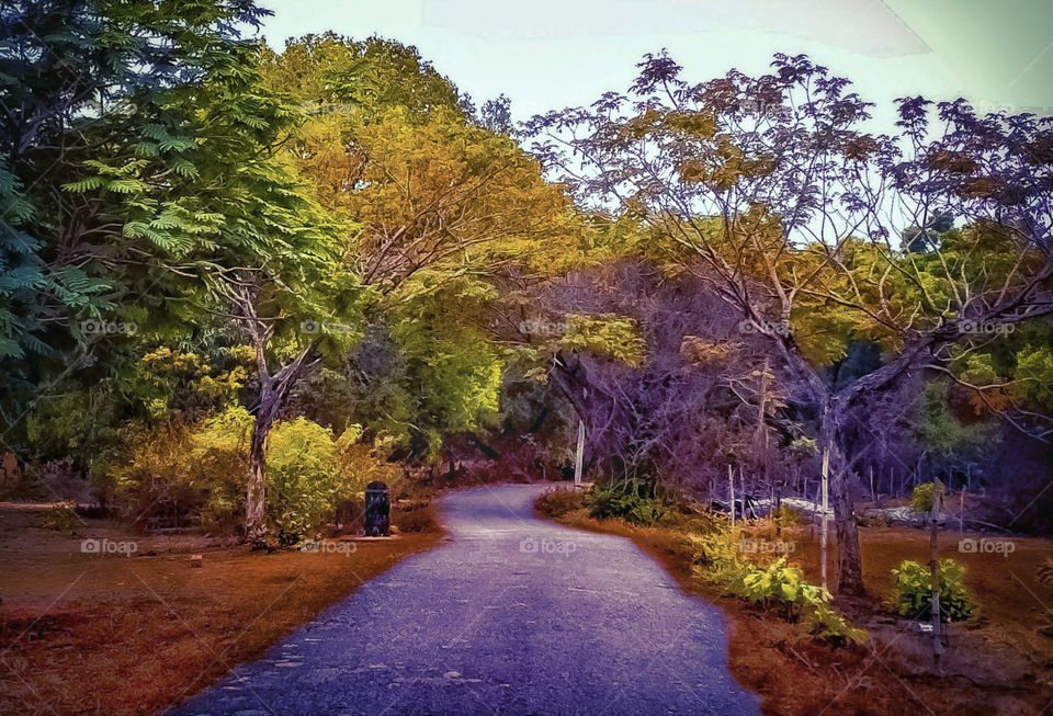roads passes through beautiful nature