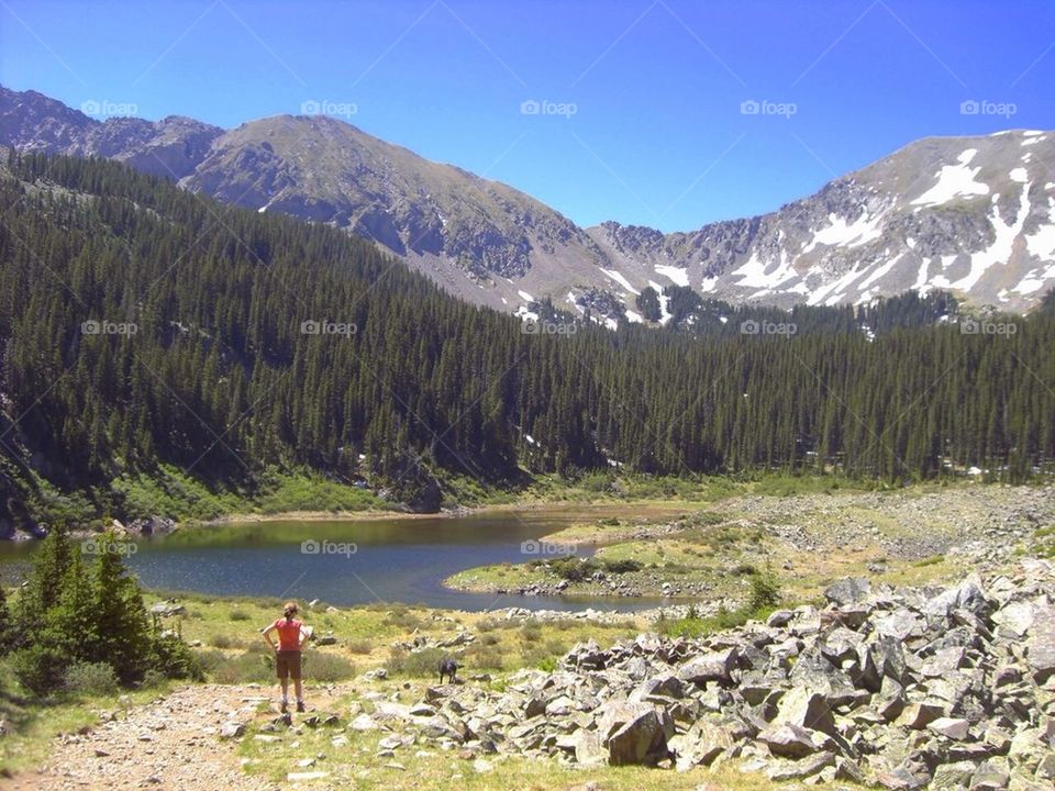 Mountain Lake in summer