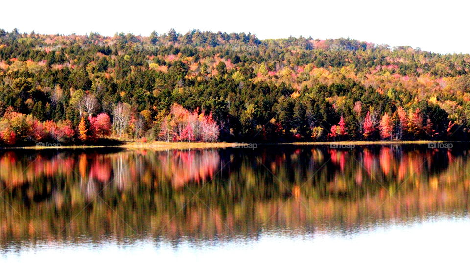 Fall on the south shore of Nova Scotia 