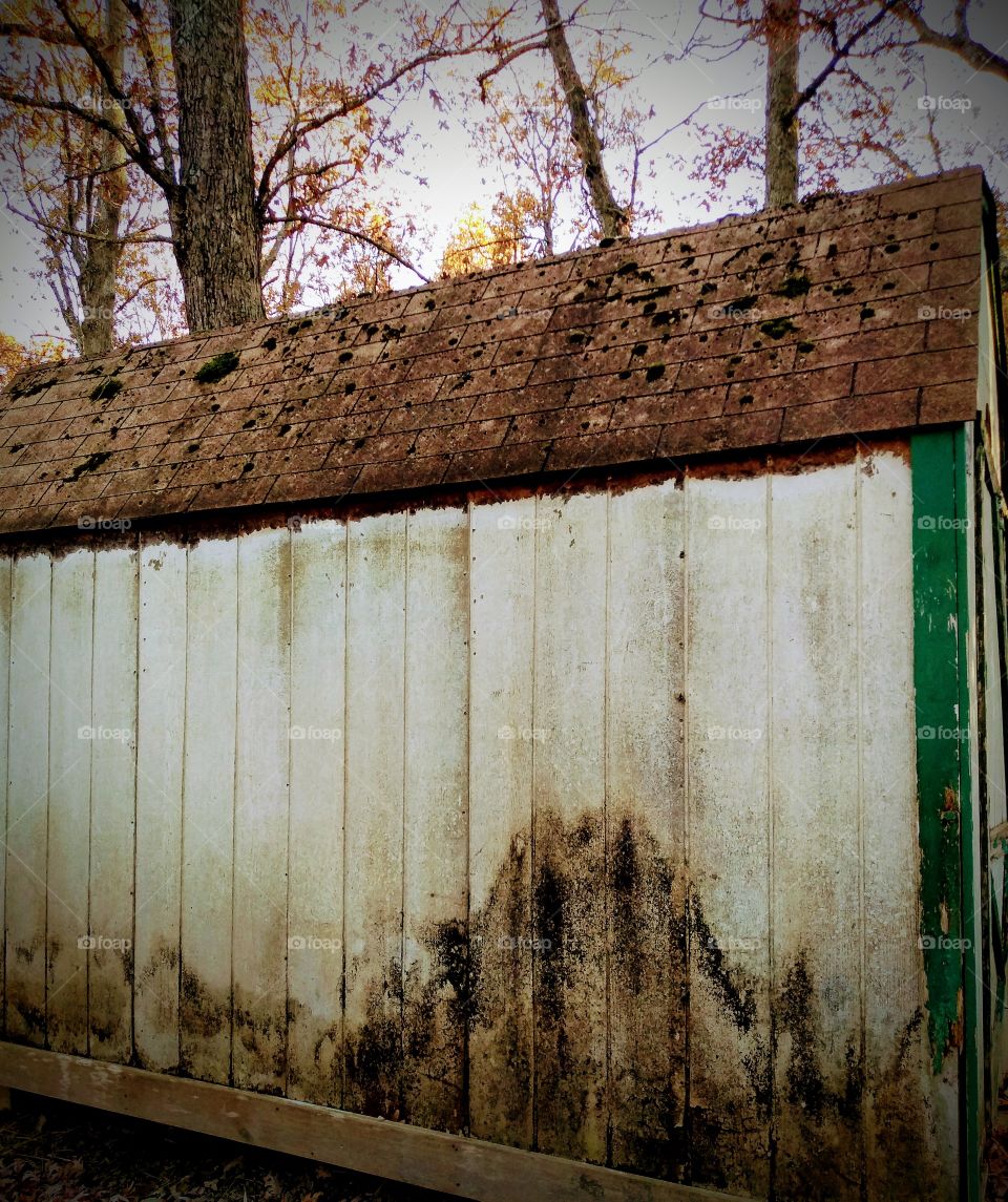 old shed that is wearing down