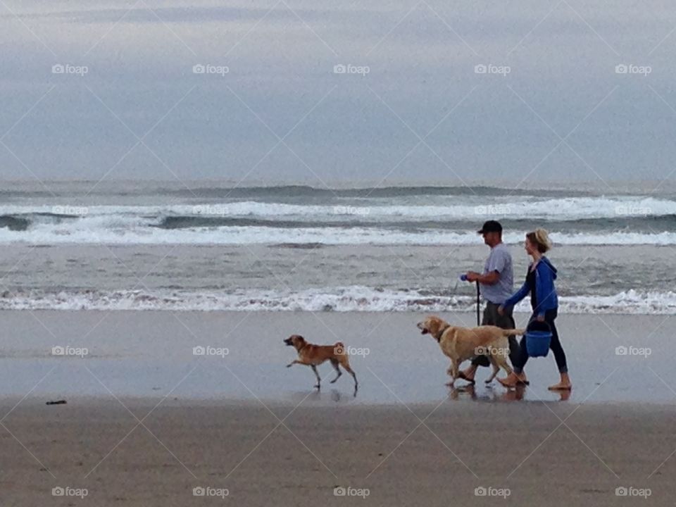 Beach, Seashore, Sea, Water, Ocean