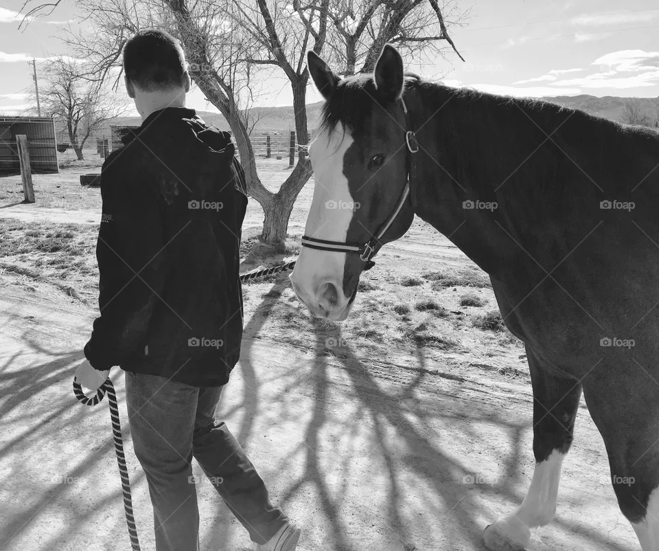 Cavalry, Mammal, People, Two, Winter