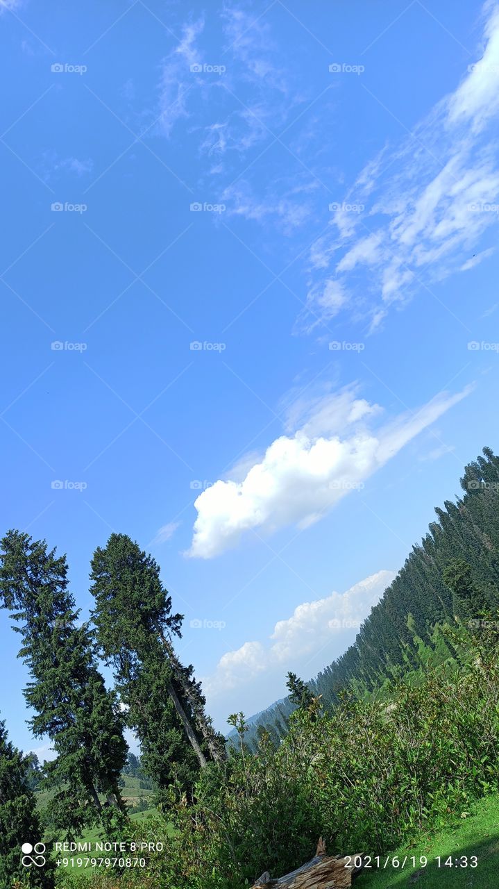 Awesome Summer in Kashmir.....