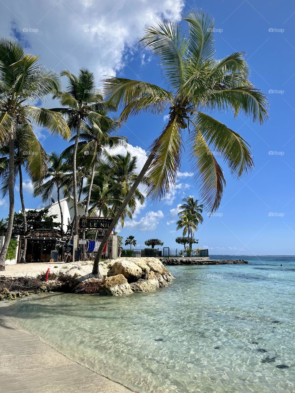 French west indies landscape 