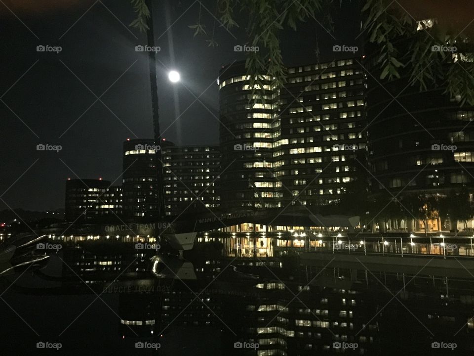 Oracle moonlit night 