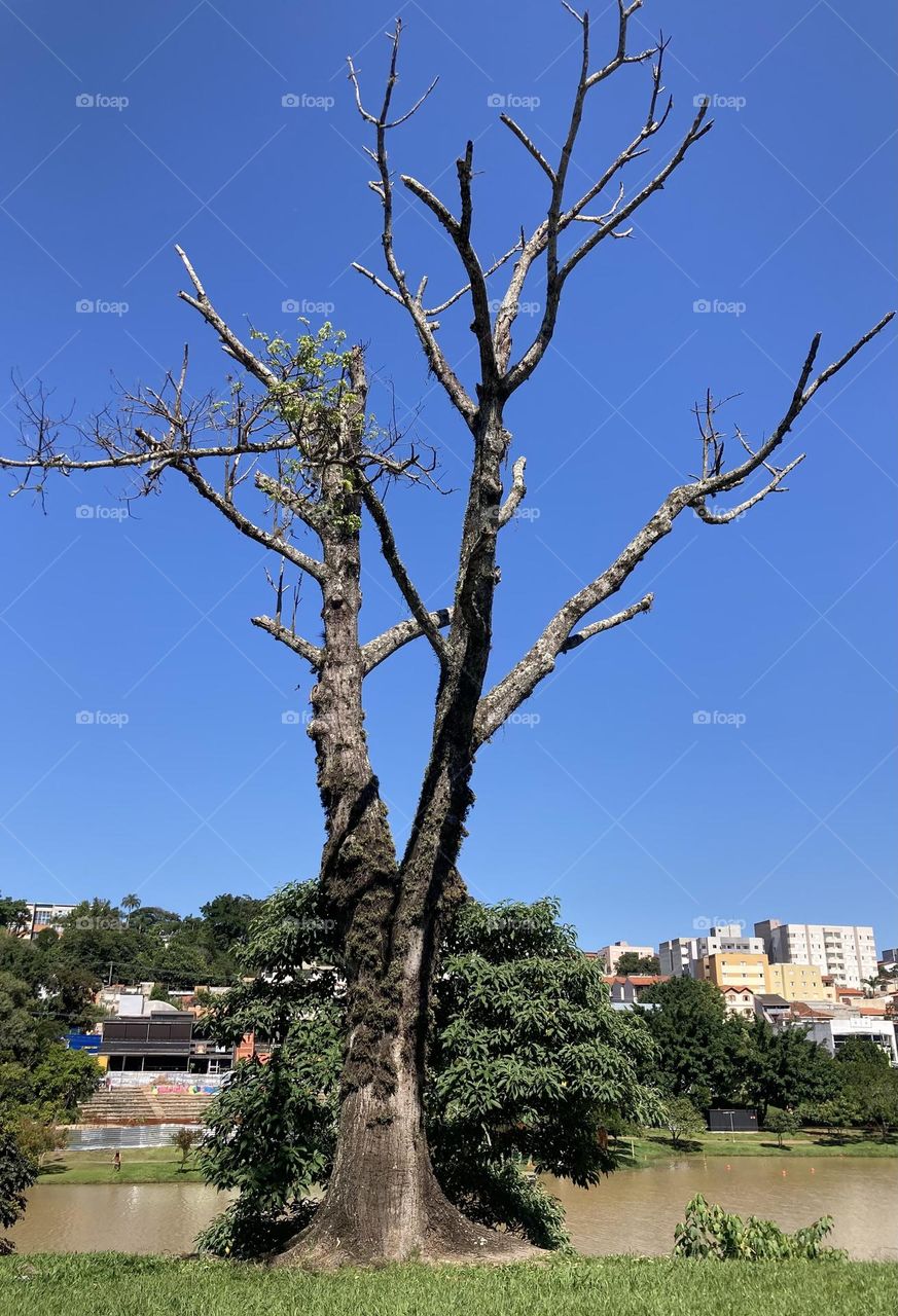 🇧🇷 Last day of summer in Brazil.  Come on, autumn!  All blue this Monday.  Great! / 🇧🇷 Último dia do verão no Brasil. Pode vir, outono! Tudo azul nesta segunda-feira. Que bom!