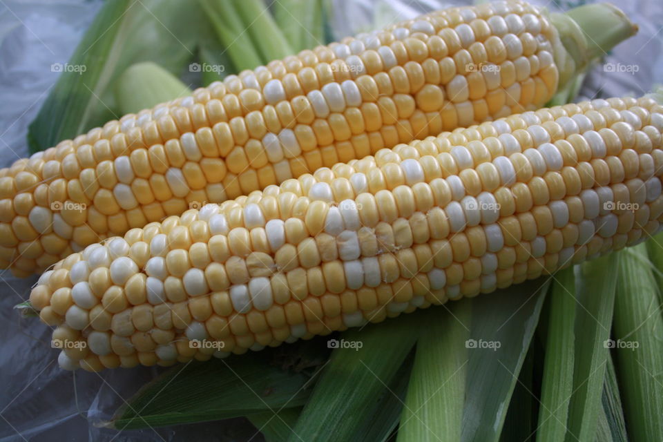 corn