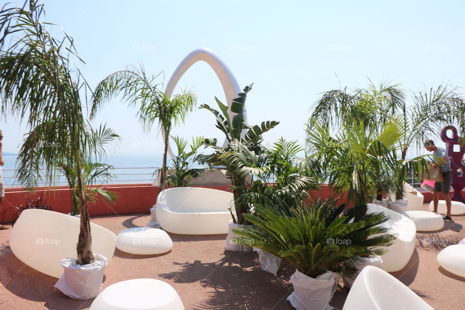 Potted plants on a huge balcony 