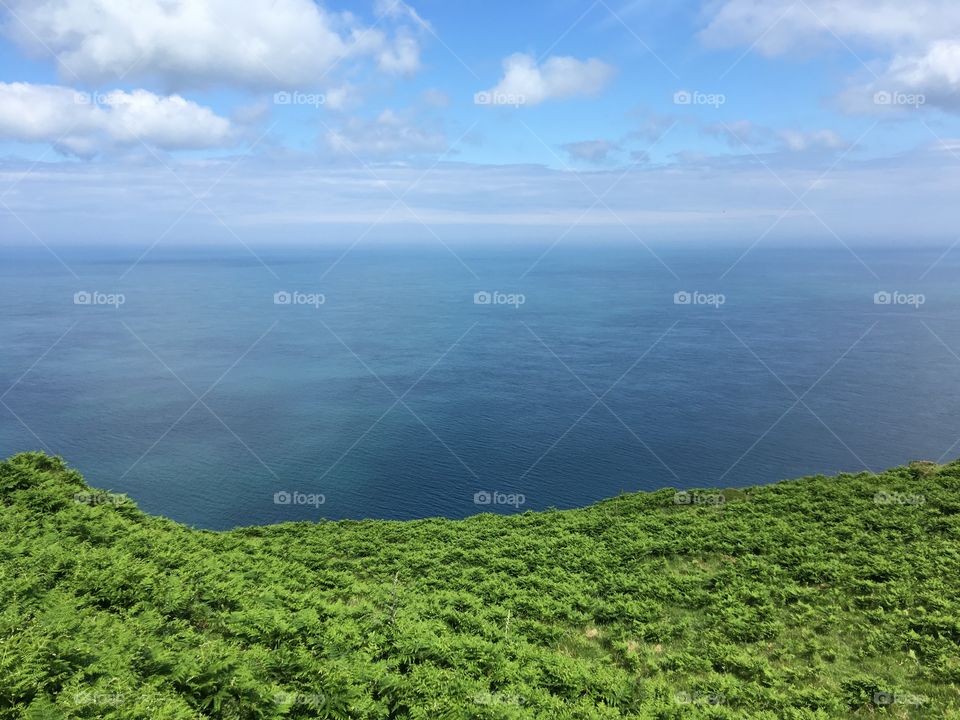 The rule of 3 on the North Devon coastal path, in between Ilfracombe and Lee. Strong colours and beautiful contrast of nature. 