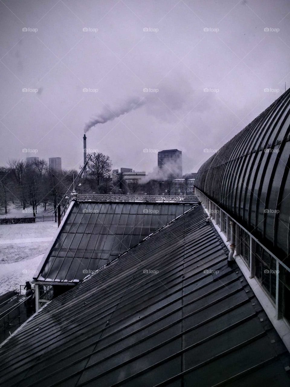 skyline in the snow