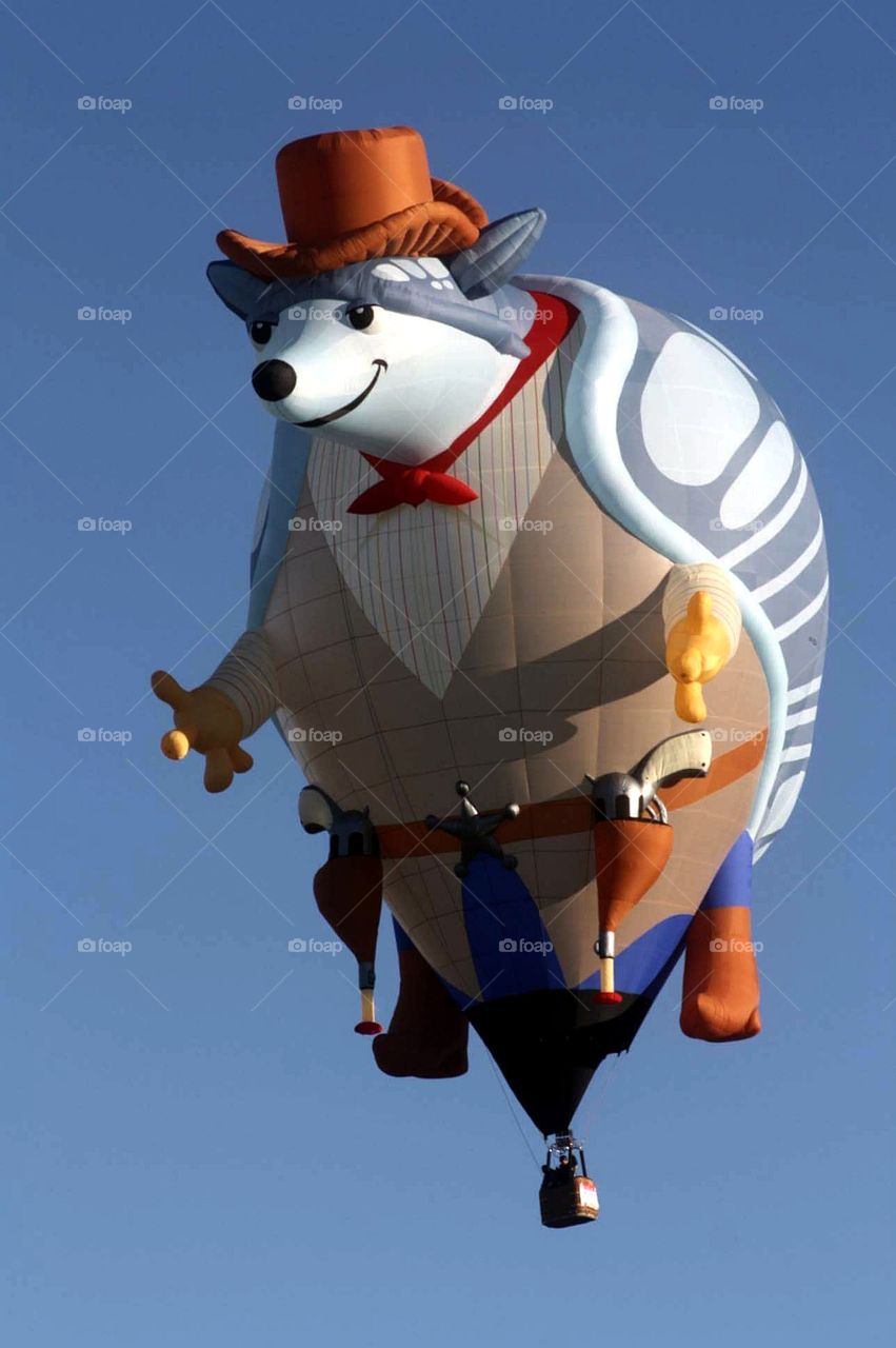 Armadillo Balloon