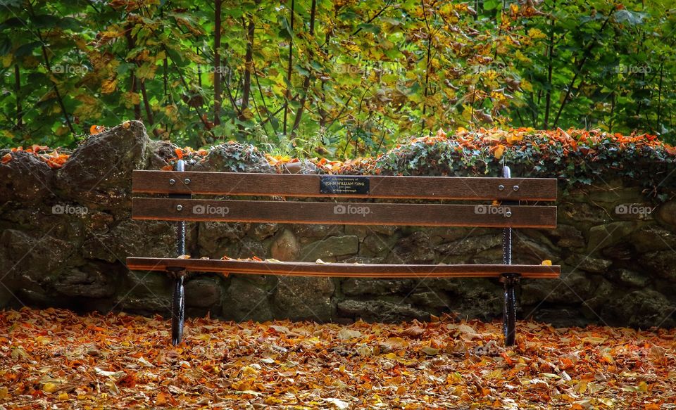 Autumn bench . Autumn in Yorkshire 
