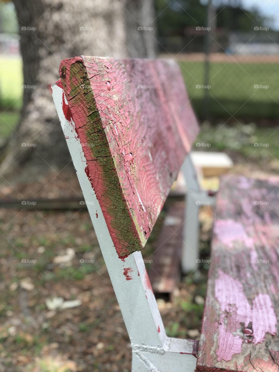 Weathered park bench 