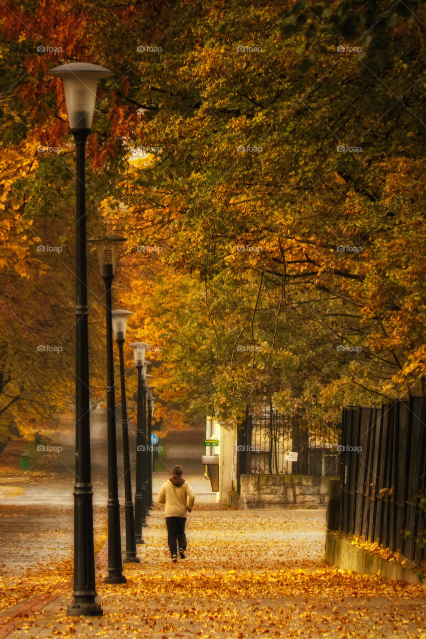 autumn jogging