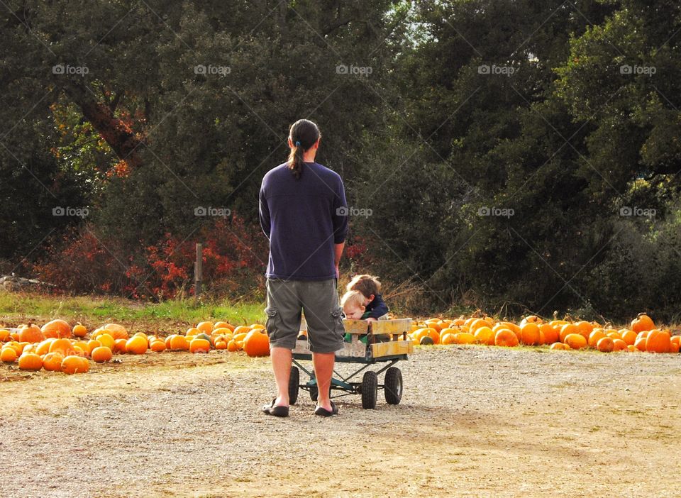 Dad With Kids In A Pumpkin Patch
