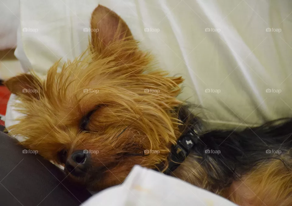 Naptime