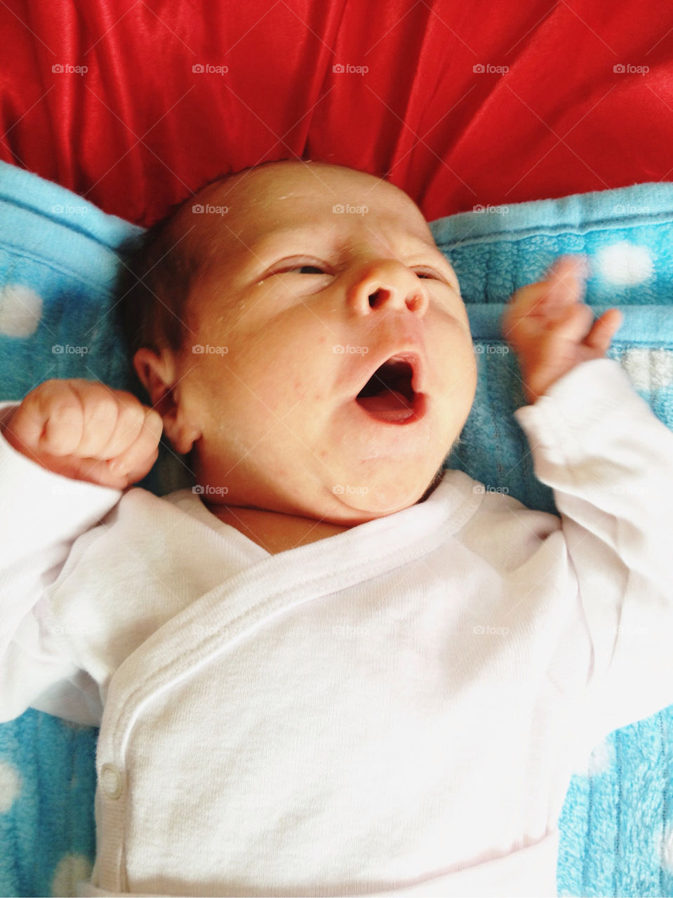 baby newborn face child by arman