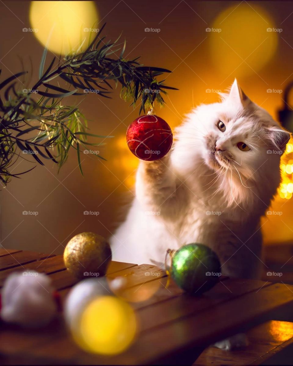 Who else is ready for Xmas?