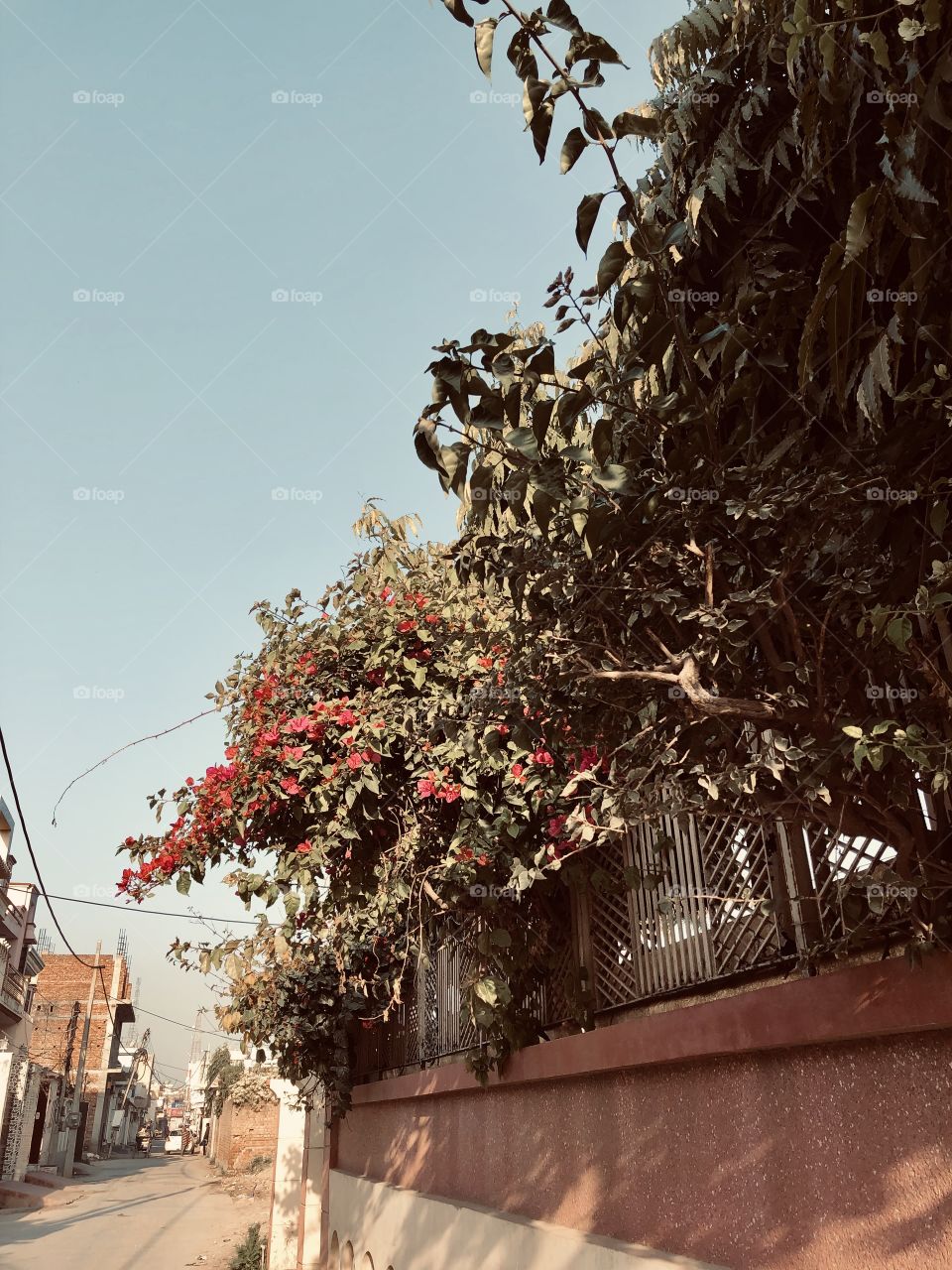 Coming to an END of WINTER 