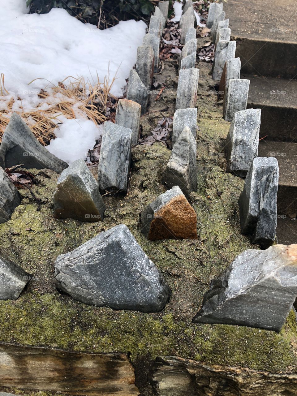 Sharpened pieces of quartz set firmly in an old stone wall protrude from their base