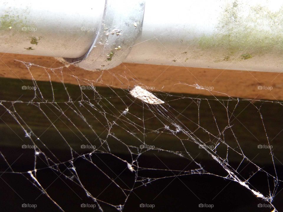 spinnennetz an der Dachrinne