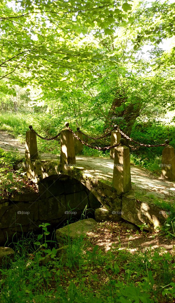 Old stone bridge in the forest