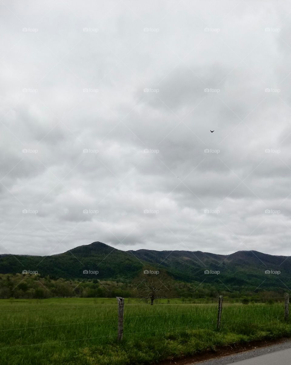 mountains, pigeon forge, TN