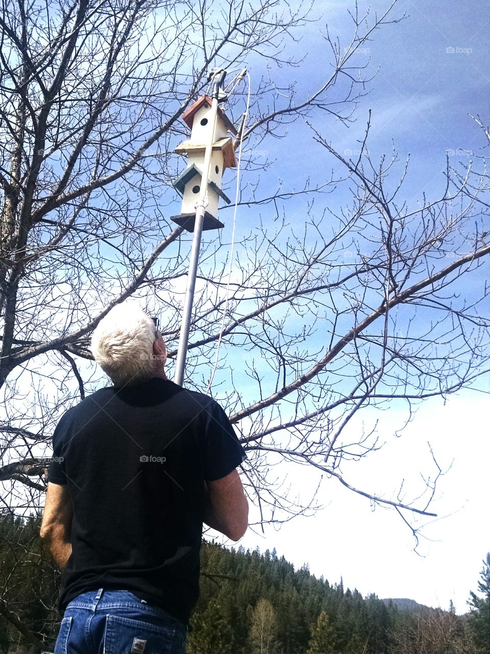 hanging sparrow house