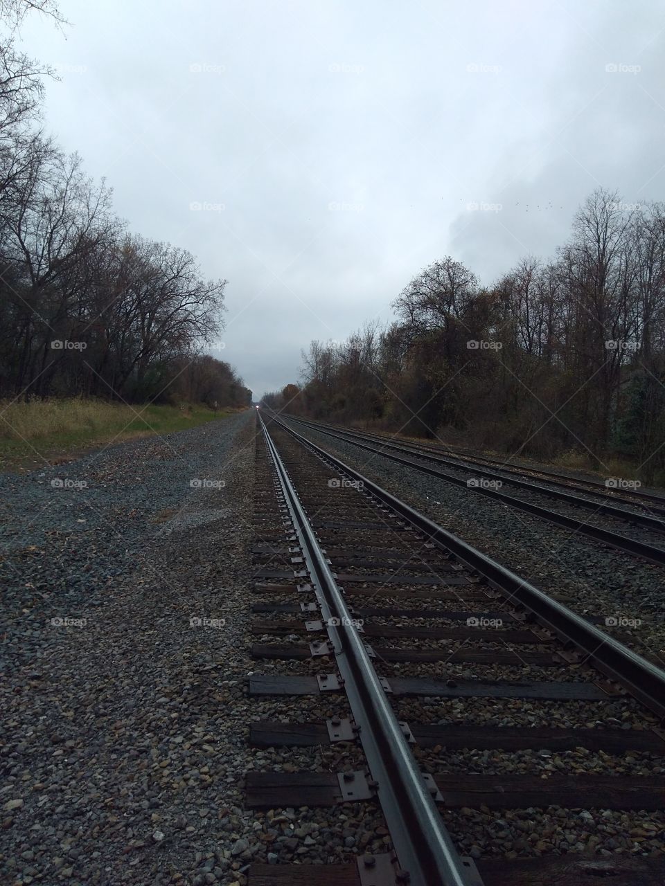 the empty train tracks