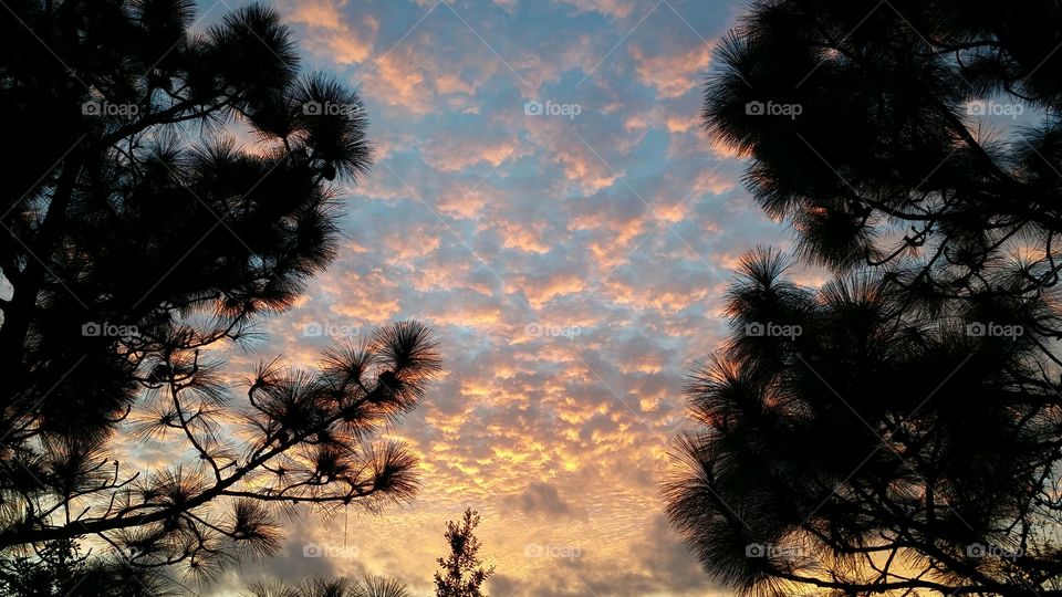 peaceful and beautiful