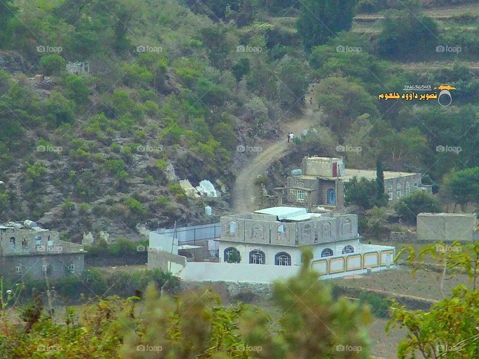 A stunning view of green mountains covered in fog in Yemen