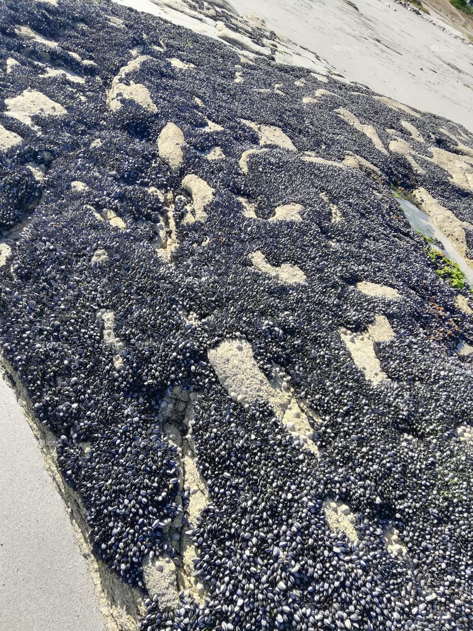 Rocher et plage bretonne