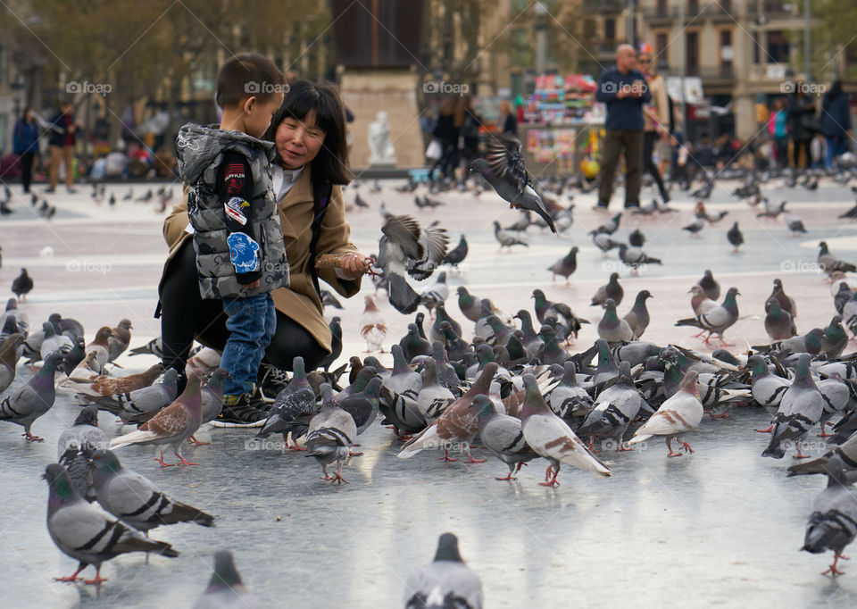 Mother, son and Pigeons 