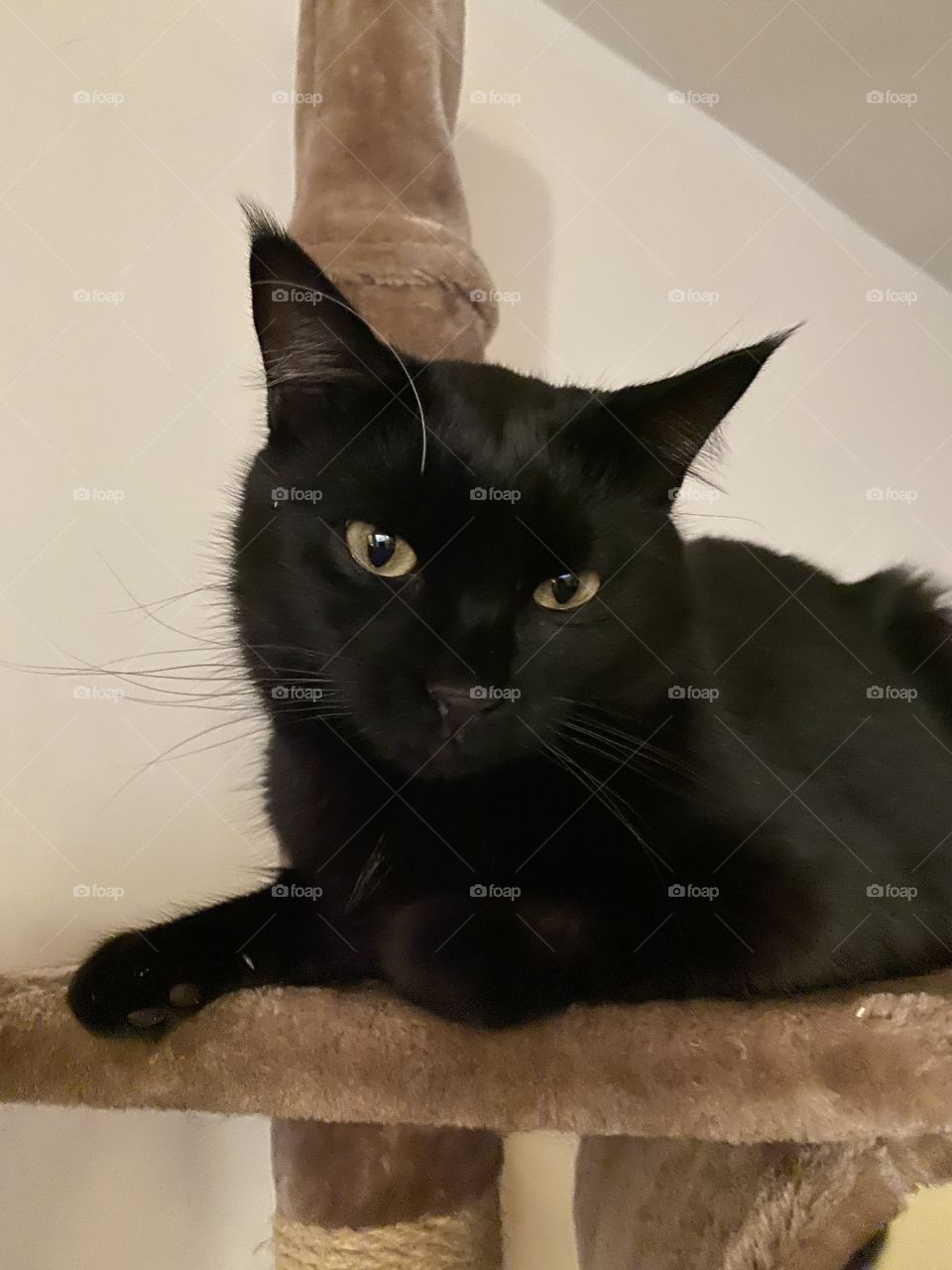 Guardare dall’alto in basso....