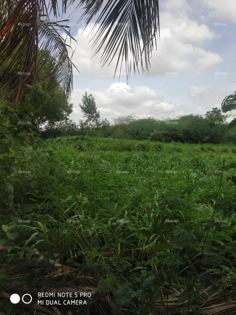 beautiful destinations are always nature's