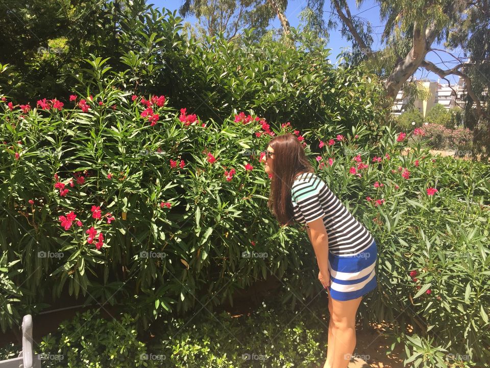 Flower, Garden, Tree, Nature, Summer