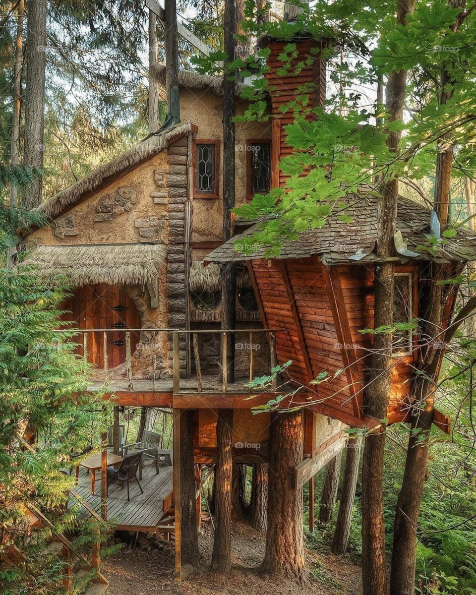 rumah tradisional dari kayu dengan pepohonan yang hijau membuat hati nyaman dan terasa damai.