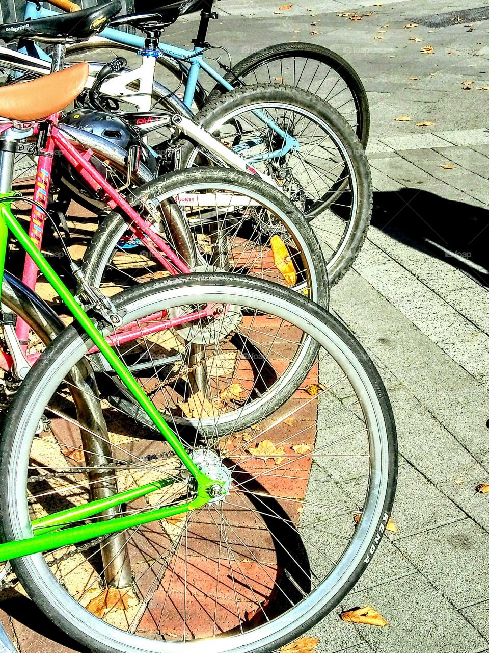 pattern and perspective