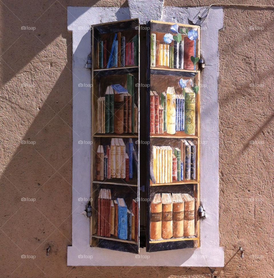 Books library painted on a shutter