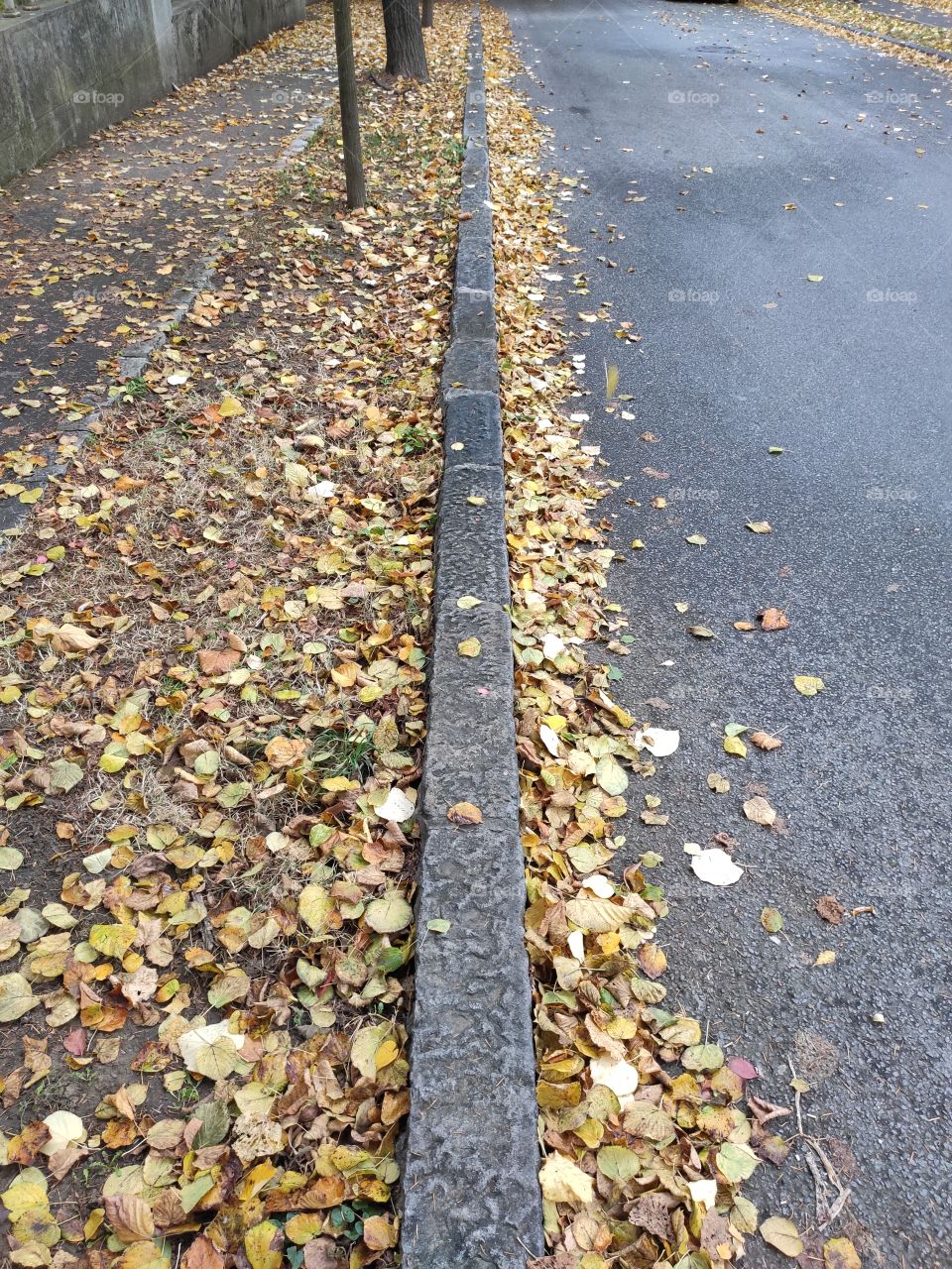 Working day in november