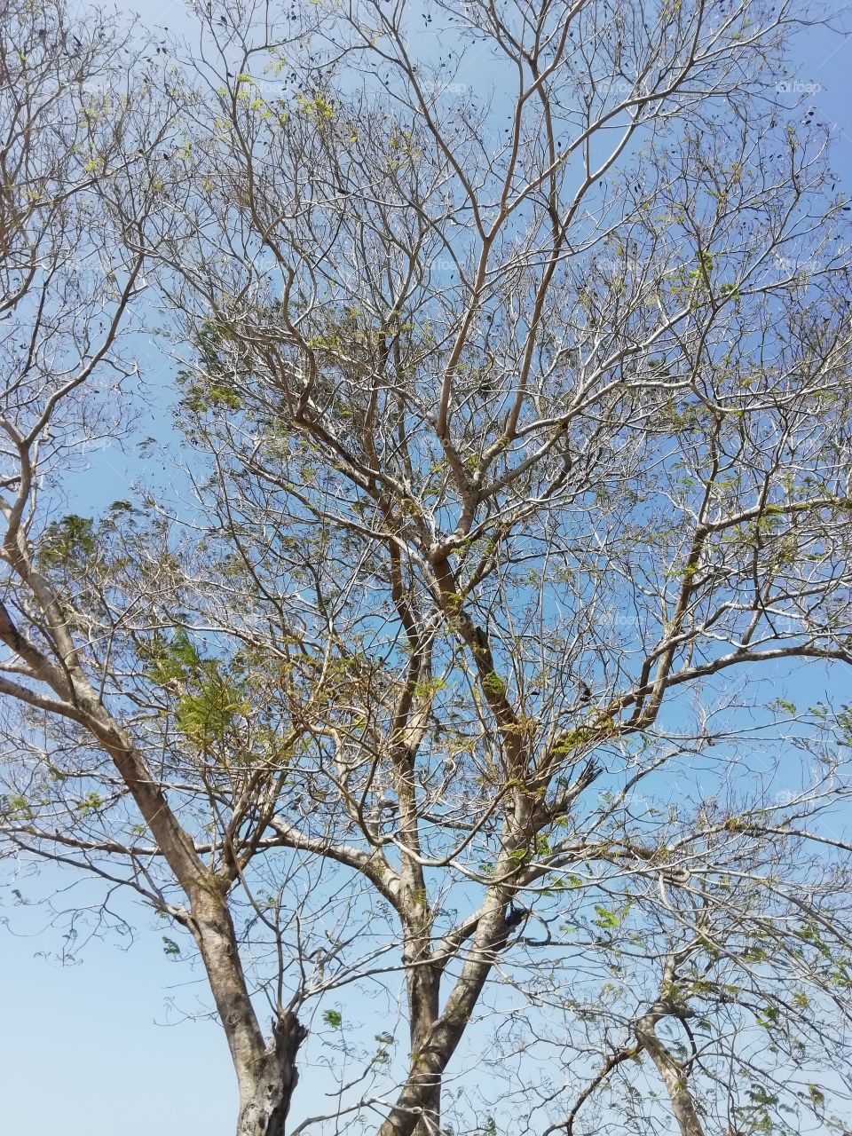 It's time to let go of old clothes (leaves) and wear new clothes 😁😁