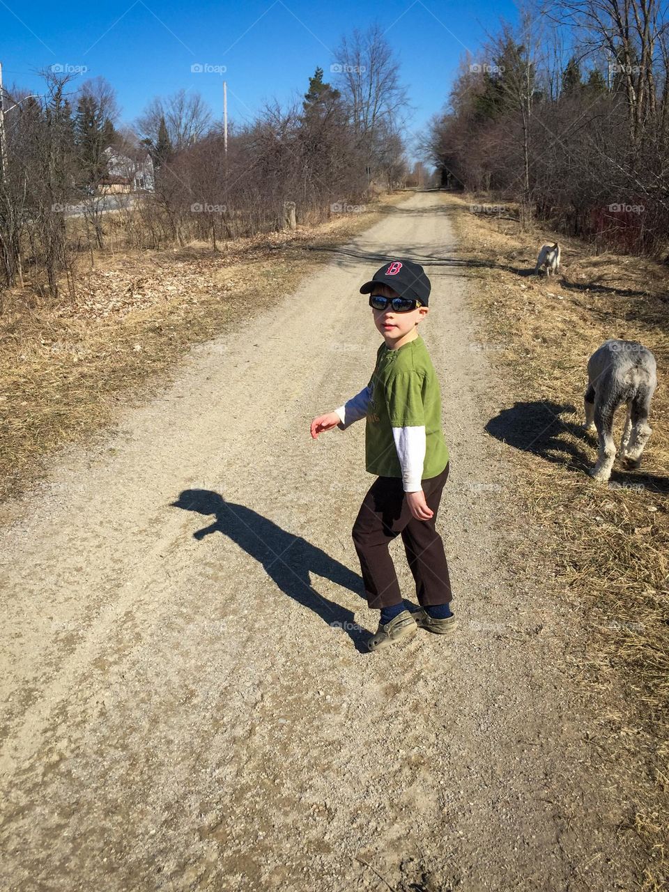 Young boy wearing a green shirt going for a walk with his two dogs on a dirt trail on a sunny day with a blue sky.