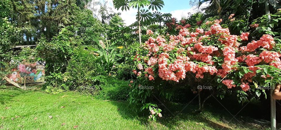 Jardim Botânico de Santos